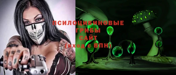шишки Абдулино