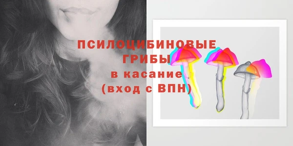 а пвп мука Абаза