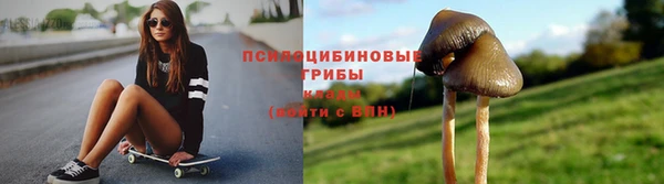 а пвп мука Абаза
