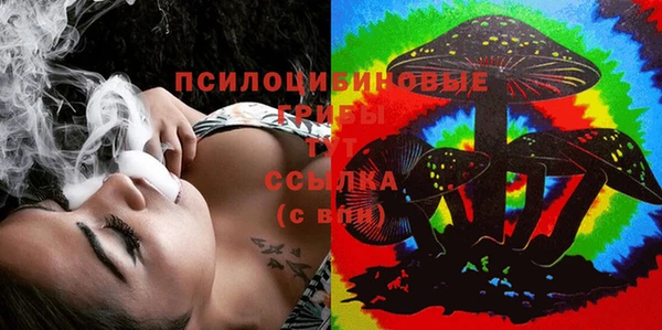 шишки Абдулино