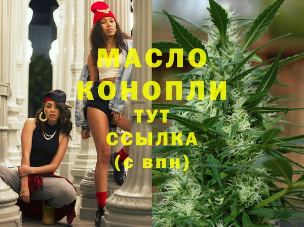 дживик Абинск