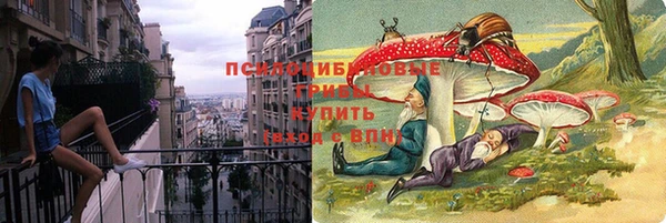 а пвп мука Абаза