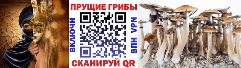 Галлюциногенные грибы GOLDEN TEACHER  купить наркотик  Ак-Довурак 